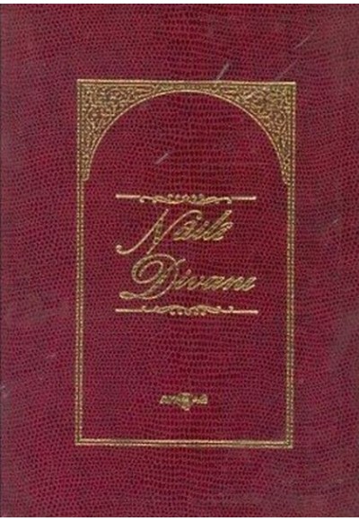 Naili Divanı (3. Hamur)