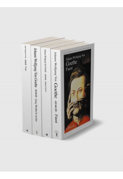 Goethe Seti 4 Kitap