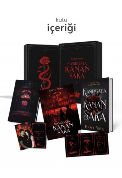 Kasırgaya Kanan Saka 1-  Hediyeli Özel Kutu (Ciltli)