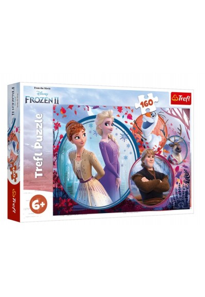 Frozen II 15374 (160 Parça)