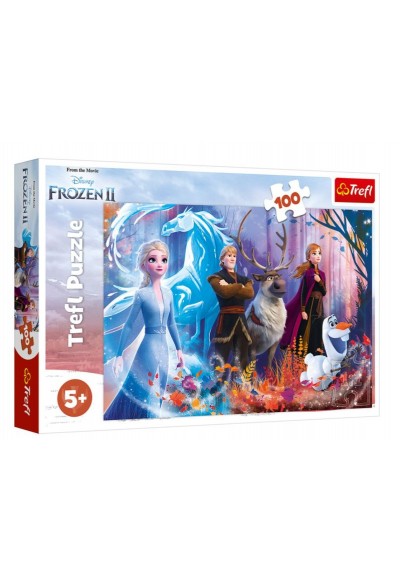 Magic Of Frozen II 16366 (100 Parça)