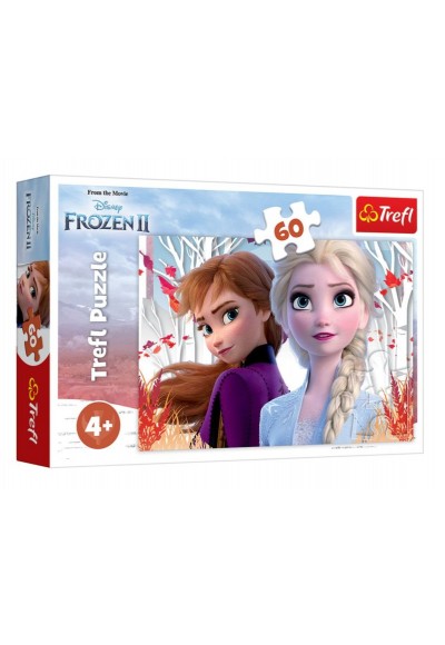 Frozen II The Enchanted World Of Anna And Elsa 17333 (60 Parça)
