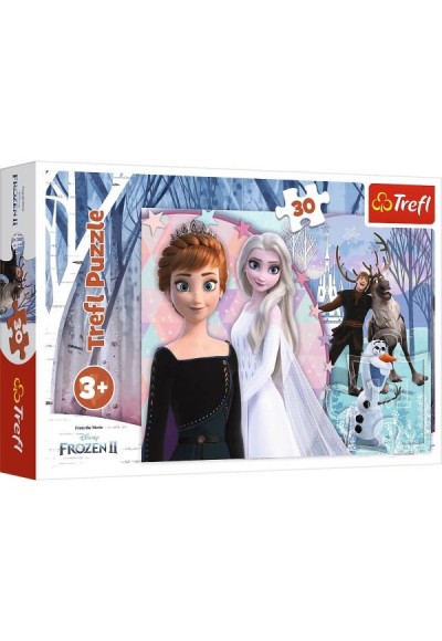 Magıcal Frozen 18275 (30 Parça)