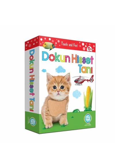 Circle Toys Dokun Hisset Tanı Eğitim Kartları