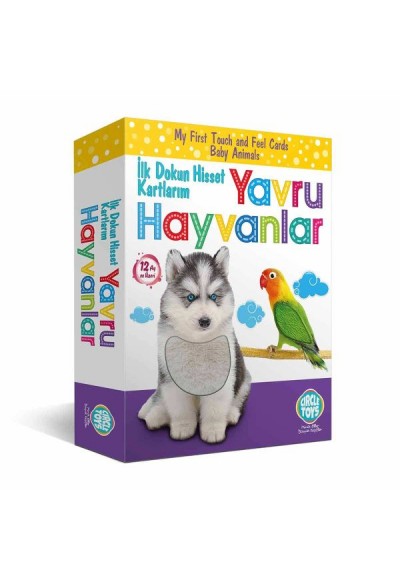Circle Toys Dokun Hisset Tanı Yavru Hayvanlar Eğitim Kartları