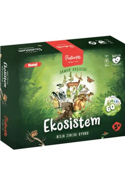 Ekosistem Besin Zinciri Kutu Oyunu Midi