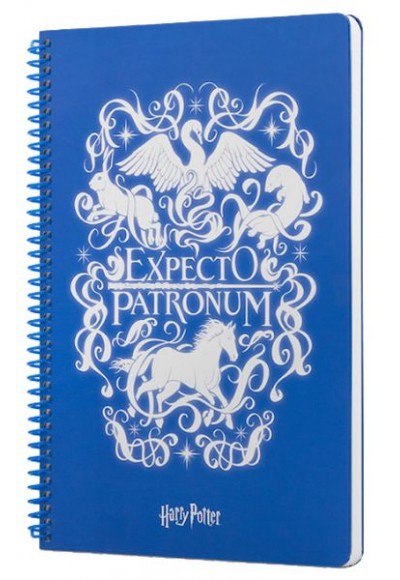 Harry Potter Expecto Spiralli Defter Mavi