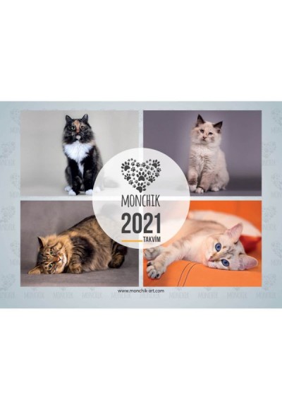 Kedili Katlamalı Duvar Takvimi 2021