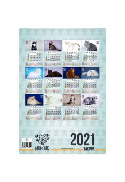 Kedili Aylık Spiralli Duvar Takvimi 2021