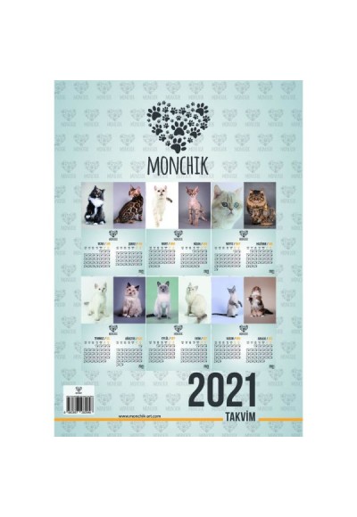 Kedili 2 Aylık  Spiralli Duvar Takvimi 2021