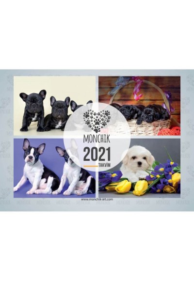 Köpekli Katlamalı Duvar Takvimi 2021