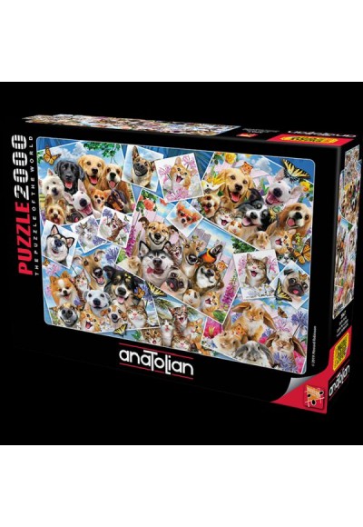 Anatolian 2000 Parça Puzzle 3947 Selfie Kolaj
