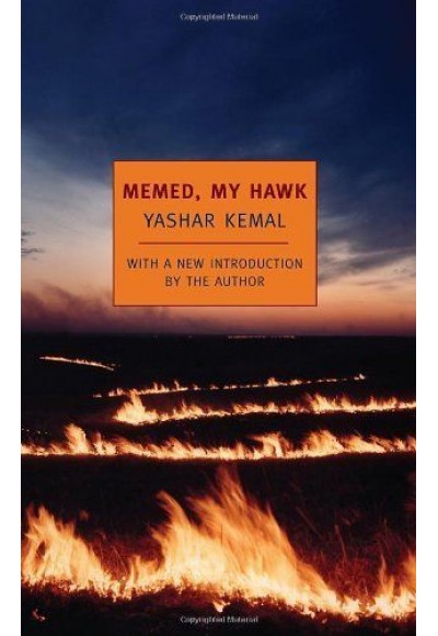 Memed, My Hawk