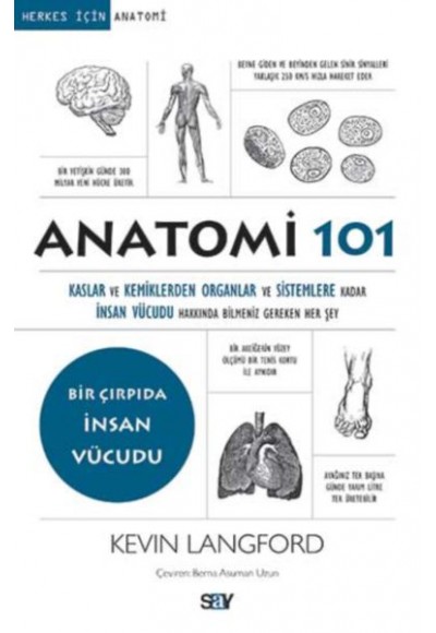 Anatomi 101