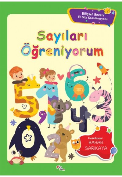 Sayıları Öğreniyorum - Bilişsel Beceri El Göz Koordinasyonu