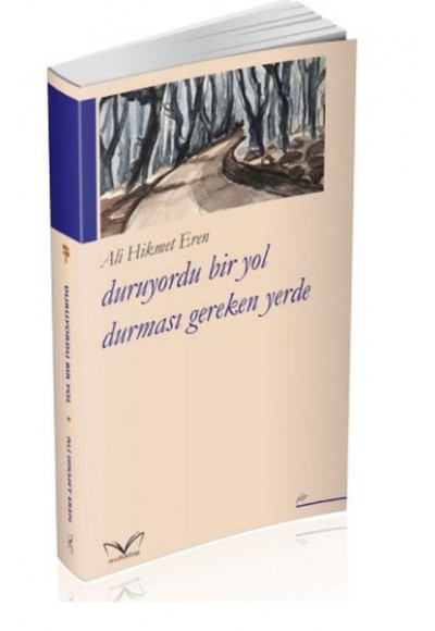 Duruyordu Bir Yol Durmasi Gereken Yerde