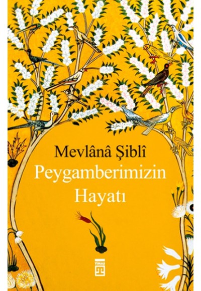 Peygamberimizin Hayatı