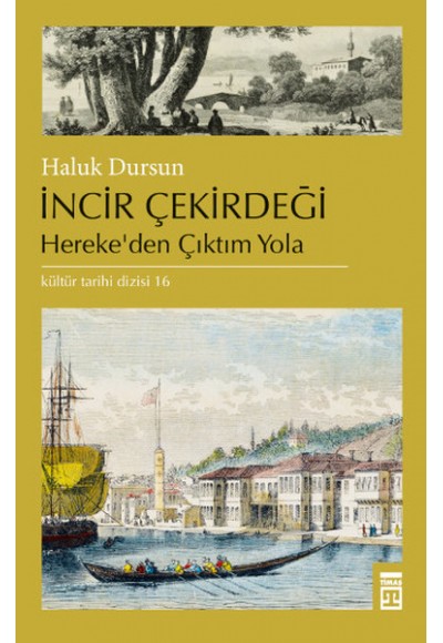 İncir Çekirdeği