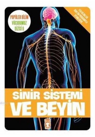 Sinir Sistemi ve Beyin / Vücudumuz Dizisi