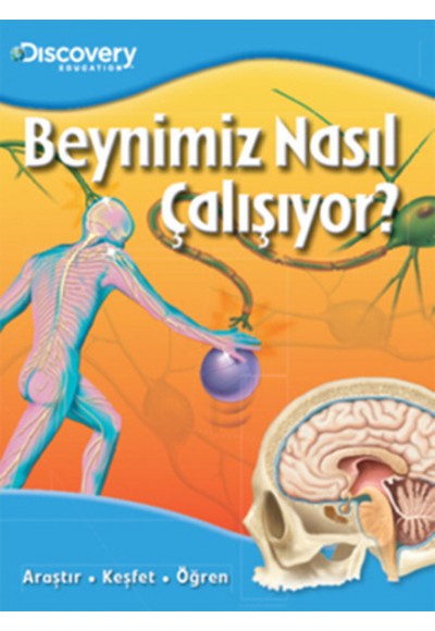 Dıscovery Education Beynimiz Nasıl Çalışıyor?