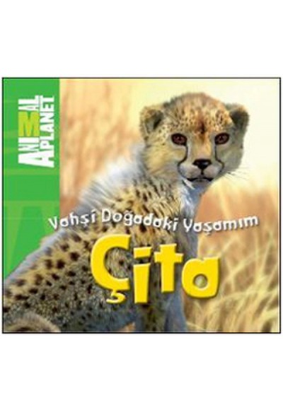 Animal Planet Doğadaki Vahşi Yaşamım Çita