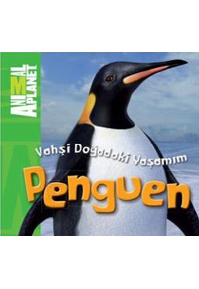 Animal Planet Doğadaki Vahşi Yaşamım Penguen