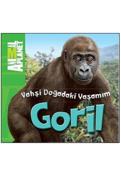 Animal Planet Doğadaki Vahşi Yaşamım Goril