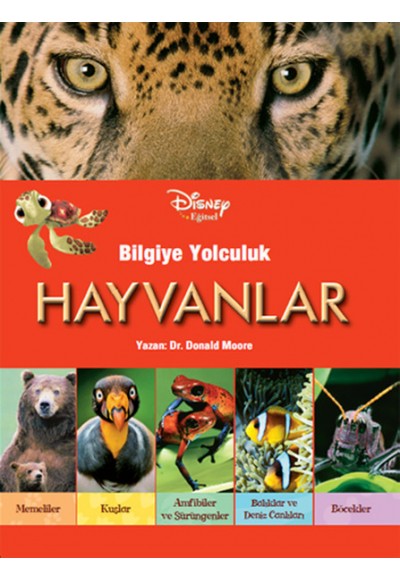 Disney Eğitsel- Bilgiye Yolculuk- Hayvanlar