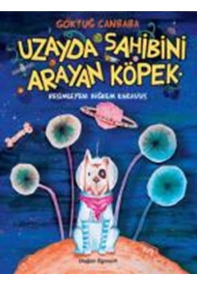 Uzayda Sahibini Arayan Köpek