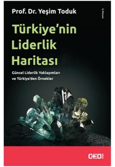 Türkiye'nin Liderlik Haritası