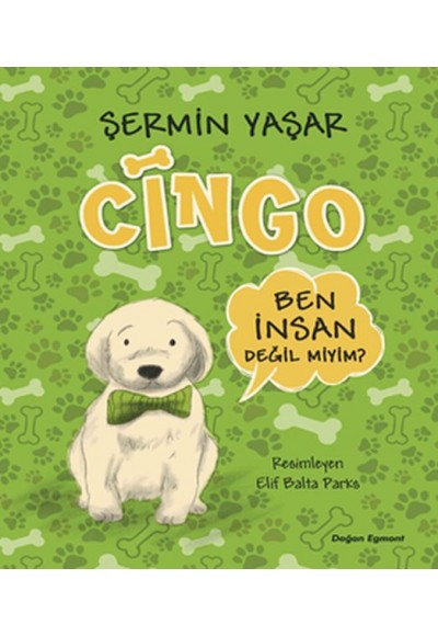 Cingo