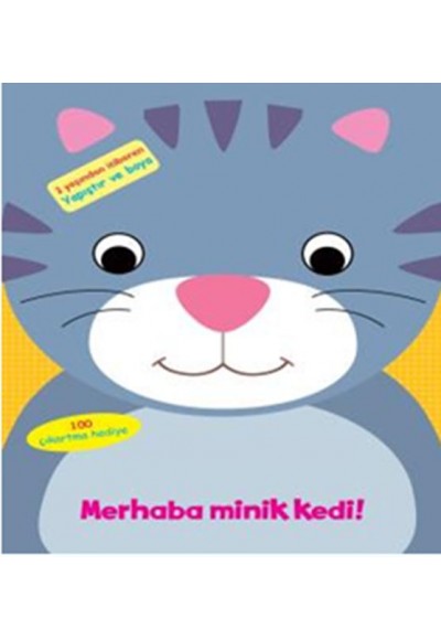 Merhaba Minik Kedi!