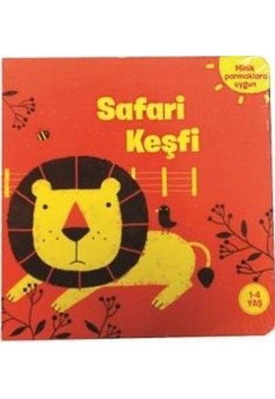 Safari Keşfi