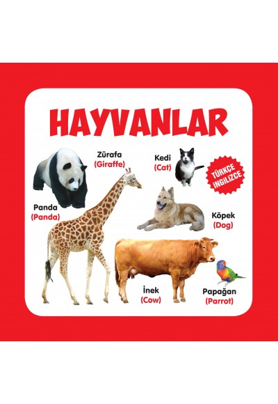 Hayvanlar Türkçe-İngilizce