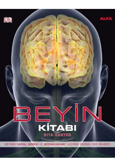 Beyin