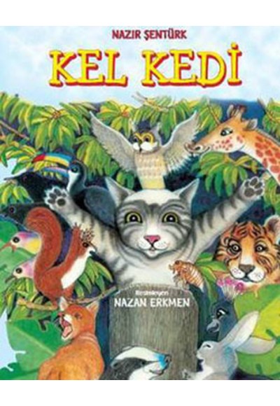 Kel Kedi