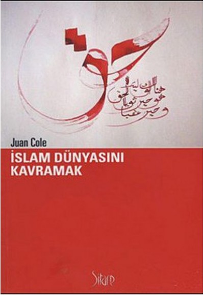 İslam Dünyasını Kavramak