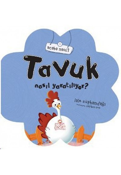 Tavuk Nasıl Yaratılıyor?