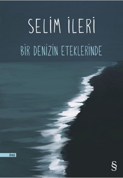 Bir Denizin Eteklerinde