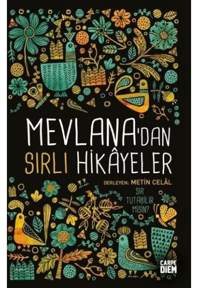 Mevlanadan Sırlı Hikayeler