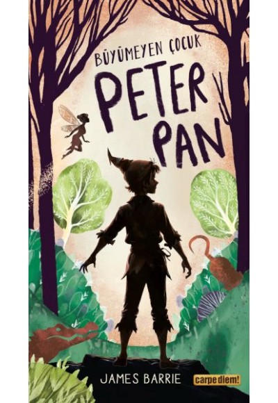 Büyümeyen Çocuk Peter Pan