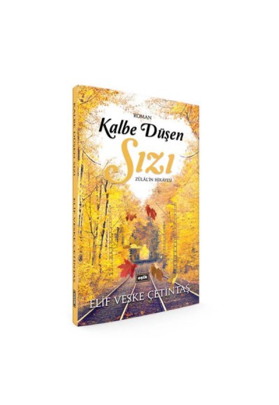 Kalbe Düşen Sızı - Zülal'in Hikayesi