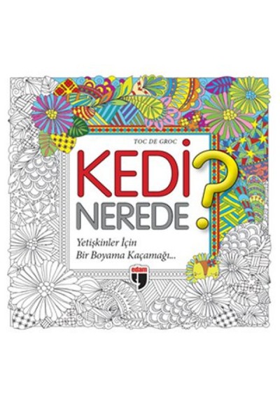 Kedi Nerede