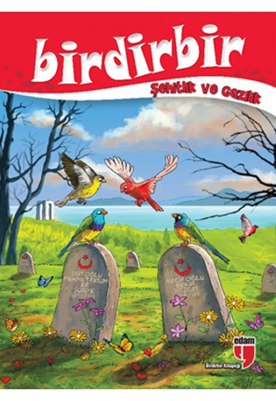 Birdirbir - Şehitlik ve Gazilik