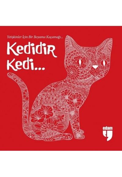 Kedidir Kedi...