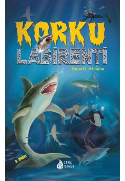 Korku Labirenti