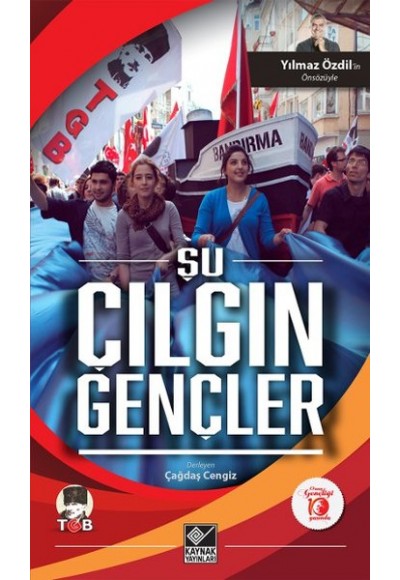 Şu Çılgın Gençler