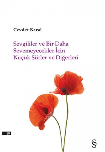 Sevgililer ve Bir Daha Sevemeyecekler İçin Küçük Şiirler ve Diğerleri