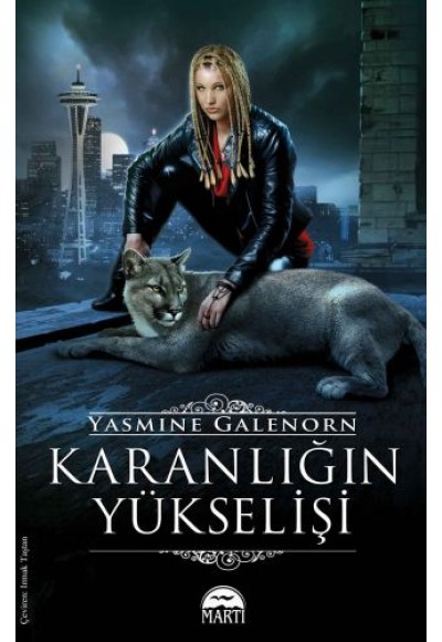 Karanlığın Yükselişi
