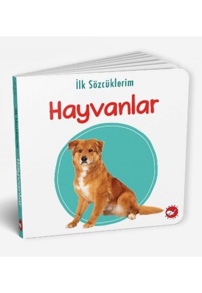 İlk Sözcüklerim - Hayvanlar